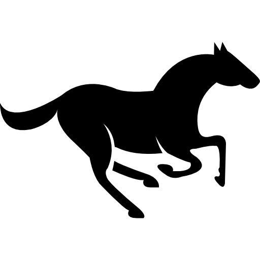 TrueBettingZone  Logo